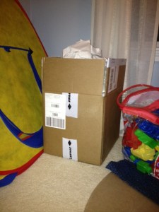 Note the play-fort and the mega blocks framing the shot just so you don't think the author's life is too glamorous.